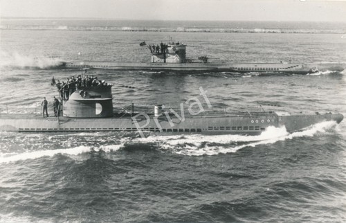 Photo des bateaux scolaires - des, de