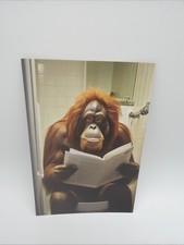 Affiche Humoristique Orang