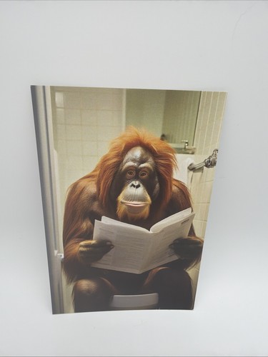 Affiche humoristique orang - humoristique,