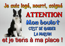 plaque attention au chien border collie en métal 29x20cm percée réf 51bord