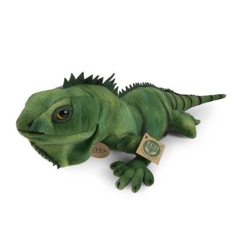 iguane