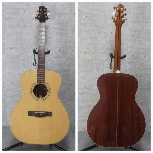 Guitare acoustique greg - guitare,