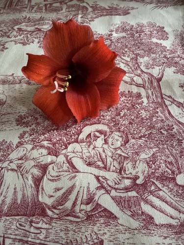 Rideau toile jouy - en, de