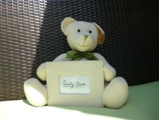 27⚜️ Grand Nounours Cadre Country Corner