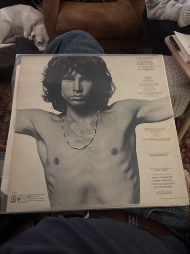 The doors jim - doors,