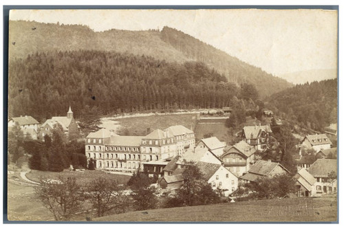 Braun cie france - braun, cie,
