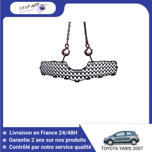 Grille calandre - 🇫🇷,