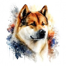 9 x 18 x 18 cm Akita Inu