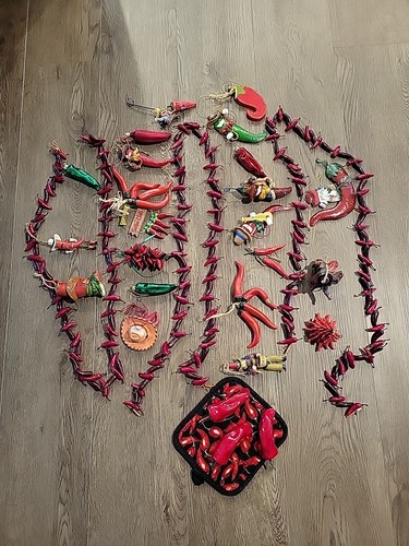 Southwest chili themed - chili,