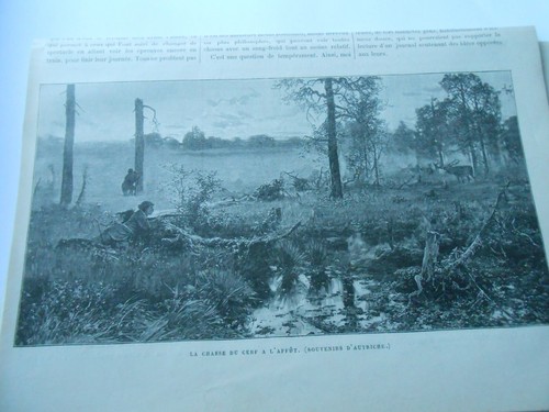 Gravure 1893 chasse a - 1893,