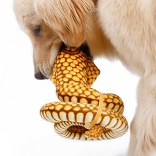  Colier Pour Chien Collerette