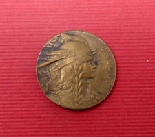 jolie médaille gallia , vercingetorix en bronze - bel état avoir