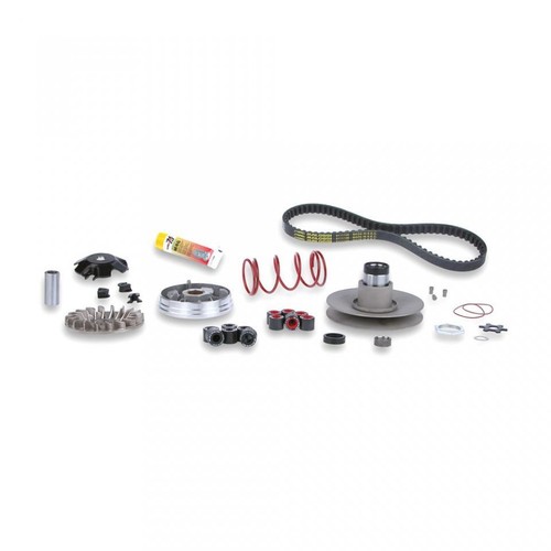 Variateur malossi pour - variateur,