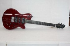 Godin XTSA Leaftop Dark Trans