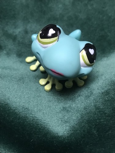Petshop grenouille 559 - grenouille, 559🌺