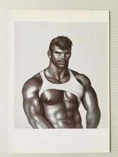 Carte Postale   TOM OF FINLAND   Gay  Sexy  Man  Homme  Male  Postcard  Nu  CP  