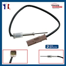 Sonde de température Gaz