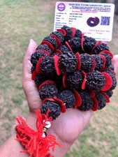 CERTIFIÉ LABORATOIRE 5 Mukhi