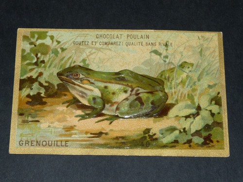 Chromo 1885 1910 chocolat - chromo, 1885-1910
