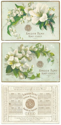 Amidon remy lot de 2 - amidon,