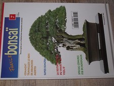 ¤¤ France Bonsaï n°7 Travailler le bois des branches / Le Buis / Style cascade