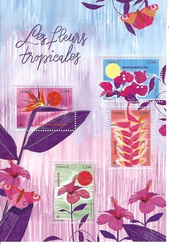 France bloc fleurs tropicales - france,