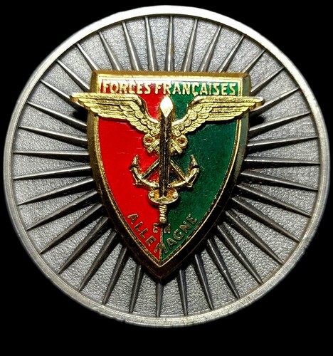 Insigne sur medaille force - medaille,