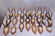 23 X Bois Panneau Avec Bois De