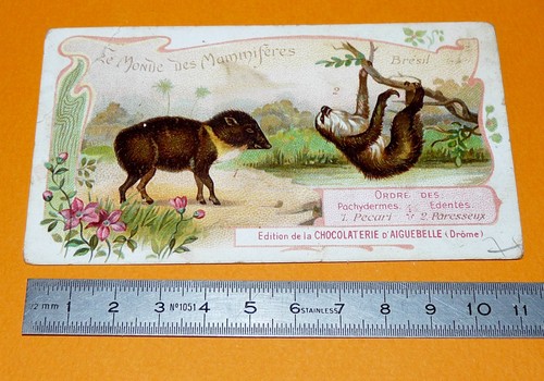 Chromo chocolat aiguebelle - chocolat,