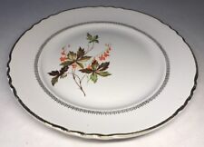Lot1 De 6 Assiettes Plates