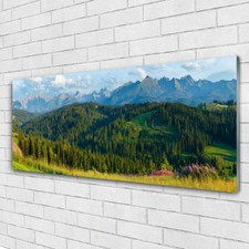 Impression sur verre acrylique Image tableau 125x50 Nature Forêt Montagne