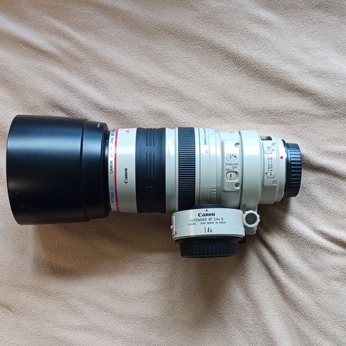 Canon 100 400mm - canon, 100-400mm