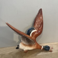 Déco Murale Canard Colvert en