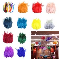 50pc  Faisan Queue Plumes