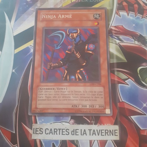 Lot cartes ninja - cartes, gi