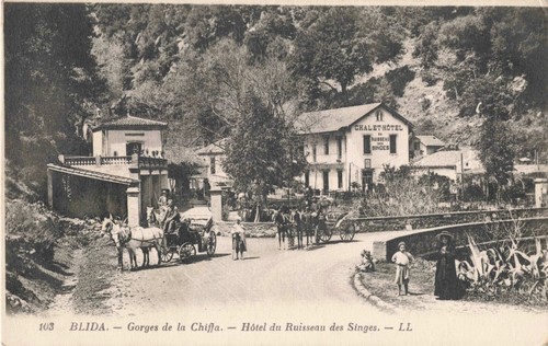 Cpa algerie gorges - cpa, la