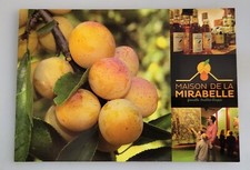 CPM 54 ROZELIEURES - maison de