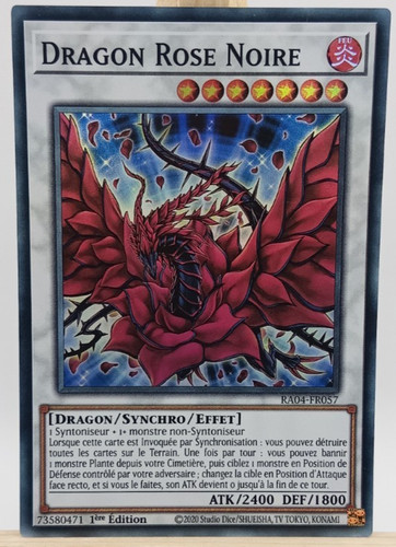 Dragon rose noire - rose,
