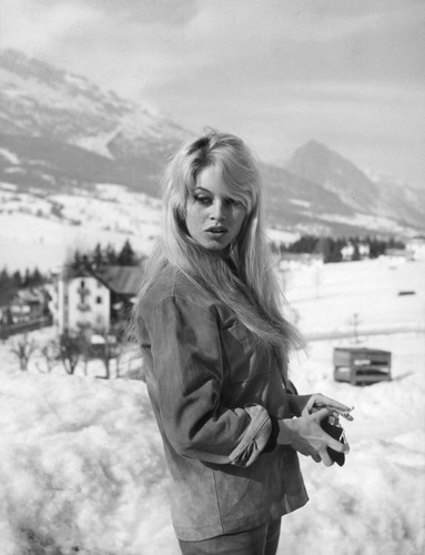 Brigitte bardot photo 18x24 - brigitte,