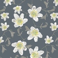 Nappe en Toile Cirée