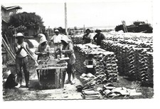 33  BASSIN D ARCACHON  LE CHAULAGE DES TUILES