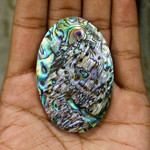 153 abalone cabochon - abalone,