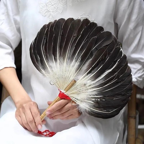 Paon plume éventail enfants - plume,
