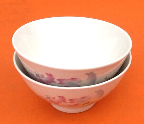 Deux bols porcelaine décor - porcelaine, à