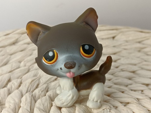 Petshop authentic lps - petshop,