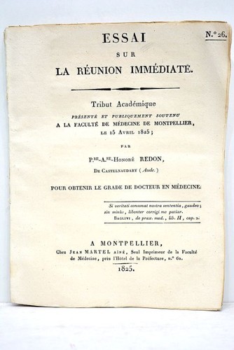 Livre ancien redon essai - livre,