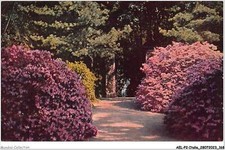 AELP2-ITALIE-0175 - STRELA  -