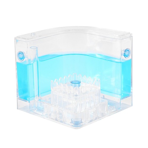 Nid ants diy - d'ants, zone
