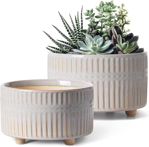 Pot plantes grasses 165 - grasses, 20cm