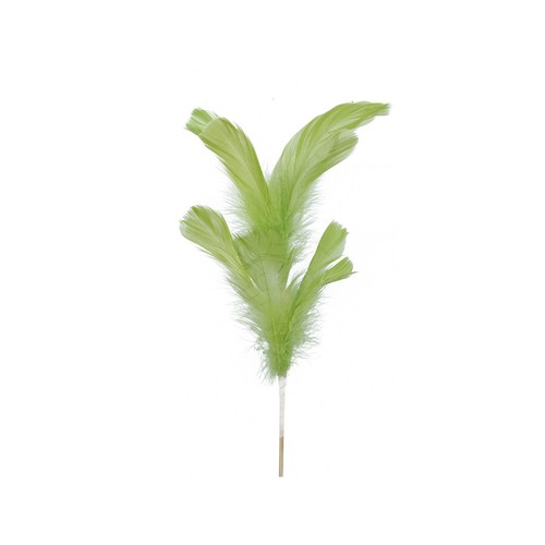 Pique plume volaille - pique,